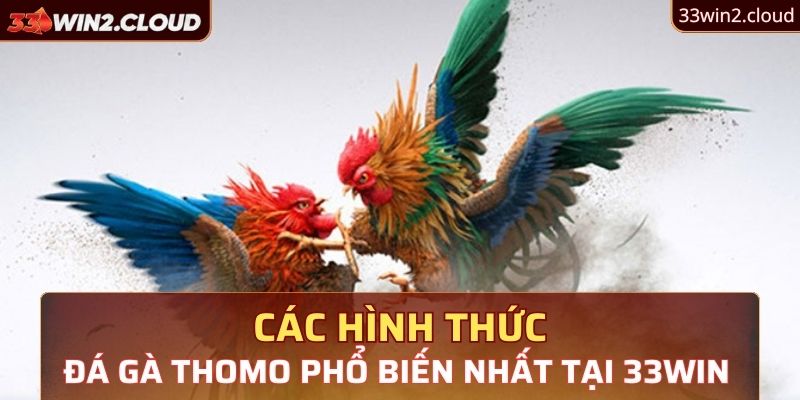 Các hình thức đá gà Thomo phổ biến nhất tại 33Win