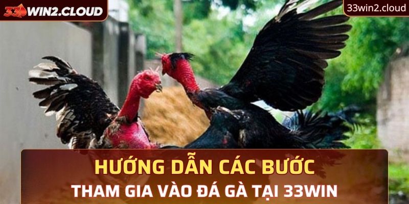 Hướng dẫn các bước tham gia vào đá gà tại 33Win