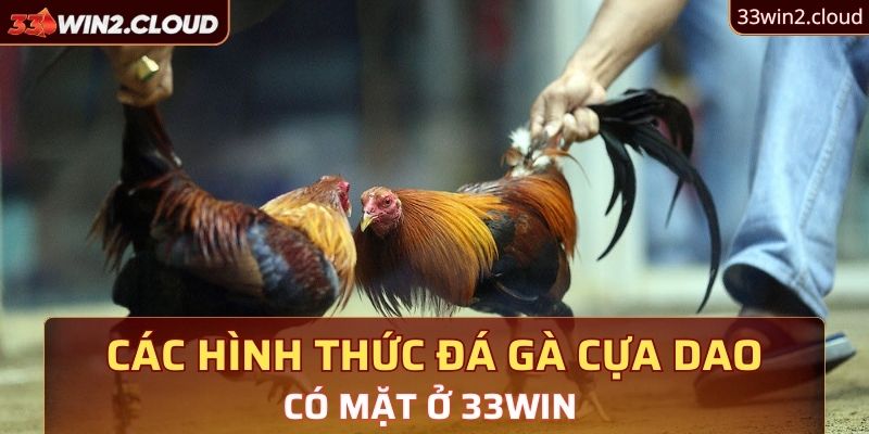 Các hình thức đá gà cựa dao có mặt ở 33Win