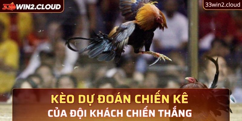 Kèo dự đoán chiến kê của đội khách chiến thắng