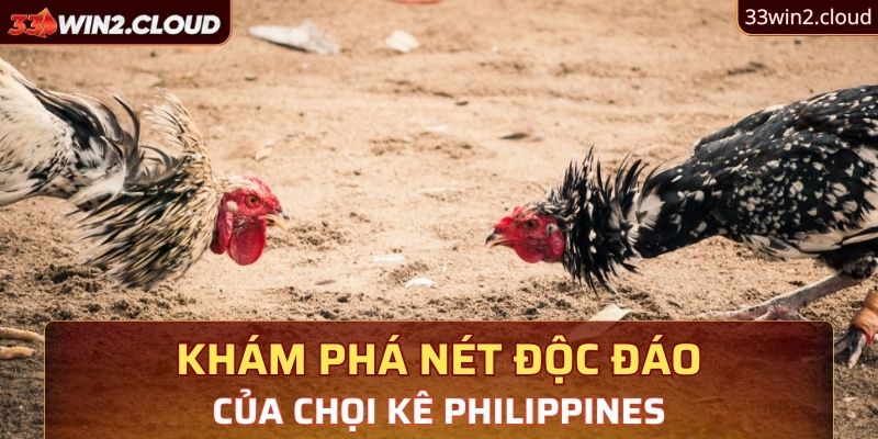 Khám phá nét độc đáo của chọi kê Philippines 