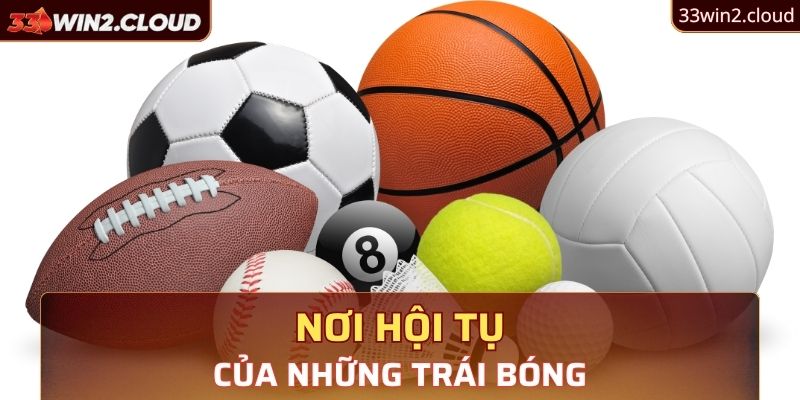 Nơi hội tụ của những trái bóng 