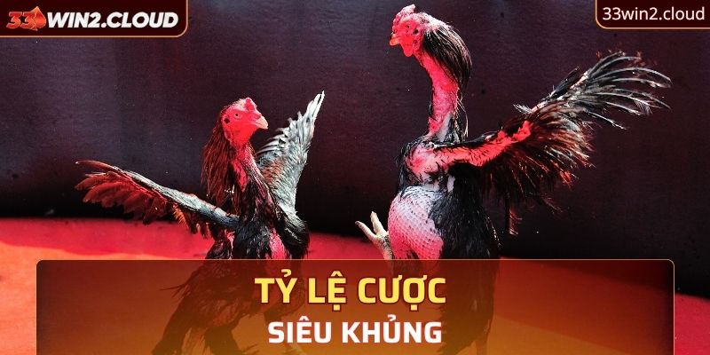 Tỷ lệ cược siêu khủng 